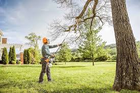 Best Utility Line Clearance  in North Richland Hills, TX