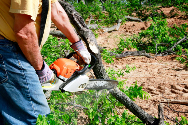 Lawn Grading and Leveling in North Richland Hills, TX